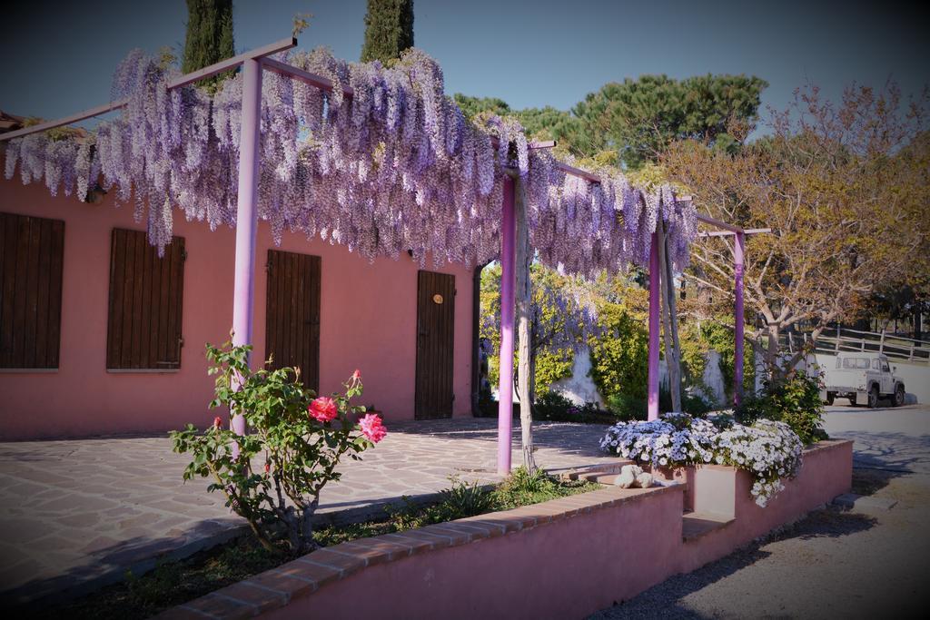 Agriturismo L'Aquilone Magliano in Toscana Exterior foto