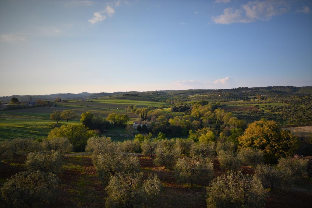 Agriturismo L'Aquilone Magliano in Toscana Exterior foto